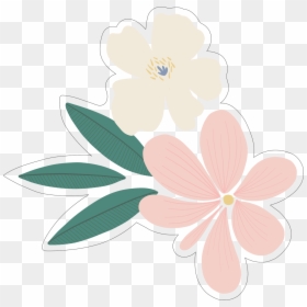 You & Me Flowers Print & Cut File - Jasmine, HD Png Download - flower print png
