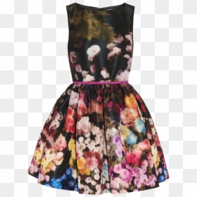 Red Valentino Floral Print Taffeta Dress - Red Valentino Floral Dress, HD Png Download - flower print png
