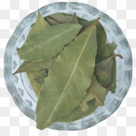 Herbal, HD Png Download - pot leaf.png