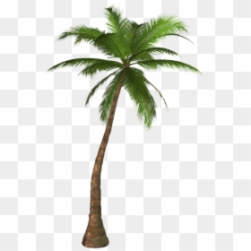 Palmtree Png Free Download - Palm Tree Transparent, Png Download - palm vector png