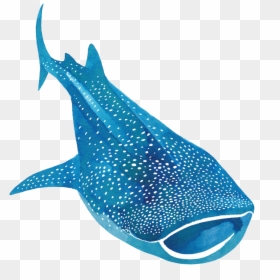 Whaleshark, HD Png Download - mako shark png
