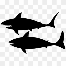 Download Png Shark- - Shark, Transparent Png - mako shark png
