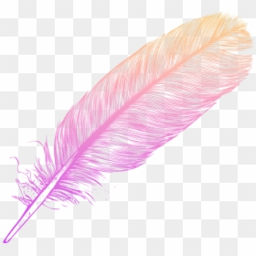 #ombre #feather #feathers #native #boho #pretty #decals - Feather Ombre, HD Png Download - boho feather png