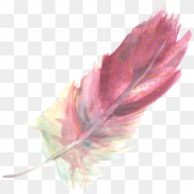 Maple Leaf, HD Png Download - boho feather png