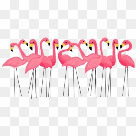 Flamingo Clipart Pink Flamingo - Flock Of Flamingos Clip Art, HD Png Download - flamingos png