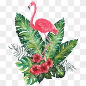 Flamingo Png Transparent Image - Tropical Flowers Png Transparent, Png Download - flamingos png