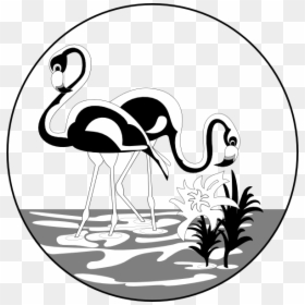 Black And White Flamingo Vector, HD Png Download - flamingos png
