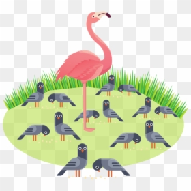 Greater Flamingo, HD Png Download - flamingos png