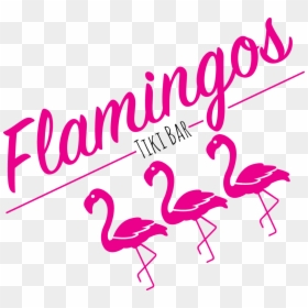 Flamingos Tiki Bar Logo - Greater Flamingo, HD Png Download - flamingos png