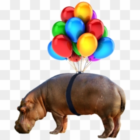 #hippo #nobackground #png #balloon - Ballon Helium Png, Transparent Png - hippopotamus png