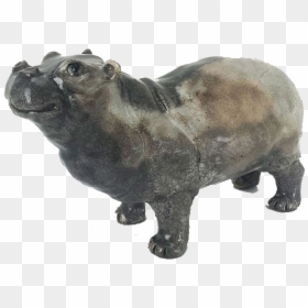 Hippopotamus Png Free Images - Bison, Transparent Png - hippopotamus png
