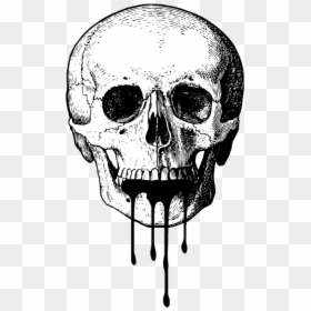 Human Skull Vintage Illustration, HD Png Download - broken skull png