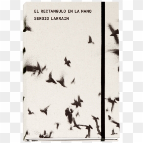 Sergio Larrain El Rectangulo En La Mano, HD Png Download - rectangulos png