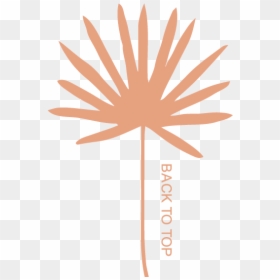 Illustration, HD Png Download - rectangulos png