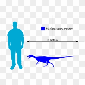 File - Masiakasaurus Scale - Svg - Ecg User Authentication Algorithm, HD Png Download - architecture scale png