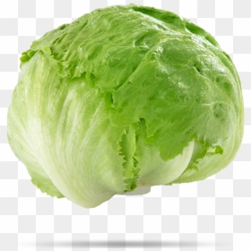 Thumb Image - Lettuce Meaning In Hindi, HD Png Download - head of lettuce png