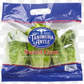 Little Gem Sweet Gem Lettuce, HD Png Download - head of lettuce png