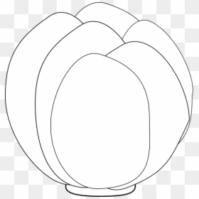 Circle, HD Png Download - head of lettuce png