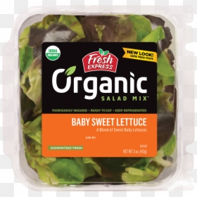 Organic Baby Sweet Lettuce - Organic Caesar Salad Kit, HD Png Download - head of lettuce png