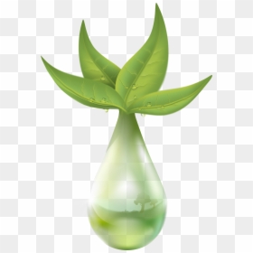 Extraction Plant Liquid Free Photo - Extraction Of Plant, HD Png Download - liquid drop png