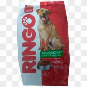 Ringo-croquetas - Companion Dog, HD Png Download - croquetas png