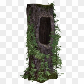 Tree Trunk Png, Transparent Png - hollow mask png