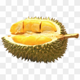 Half Durian Fruit - Durian Fruit Png, Transparent Png - tropical fruits png