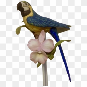 1987 Franklin Mint, Tropical Birds And Flowers Series, - Franklin Porcelain Birds, HD Png Download - tropical birds png