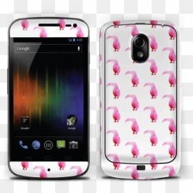 Pink Tropical Birds Skin Nexus - Samsung Galaxy Nexus, HD Png Download - tropical birds png