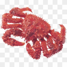 Crab Png - Крабы И Раки, Transparent Png - red crab png