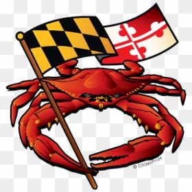 Blue Crab Maryland Flag Crab, HD Png Download - red crab png
