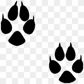 Animal Footprint Png Clipart , Png Download - Animal Footprint Png, Transparent Png - dog footprint png