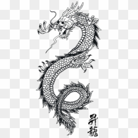 Lotus Tattoo Design For Hand - Black And White Japanese Dragon, HD Png Download - lotus tattoo png