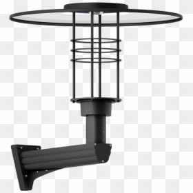 Forrey - Tap, HD Png Download - ceiling cat png
