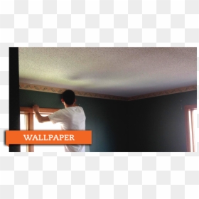 Professional Wallpaper - Professional Wallpaper - Ceiling, HD Png Download - ceiling cat png