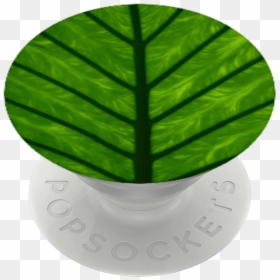 Transparent Leaf Circle Png - Houseplant, Png Download - minion transparent background png