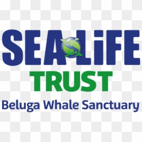 Sea Life Trust Beluga Whale Sanctuary Logo - Beluga Whale Sanctuary Sealife Trust, HD Png Download - beluga whale png