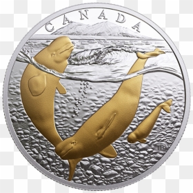 Sea To Sea Coin, HD Png Download - beluga whale png