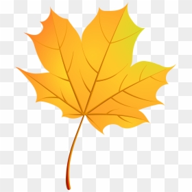 Fall Clipart Leaf Pattern - Autumn Leaf Vector Png, Transparent Png - leaf pattern png
