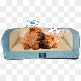 Two Puppies Sleeping On Serta Pet Bed Dreaming - Shar Pei, HD Png Download - sleeping dog png