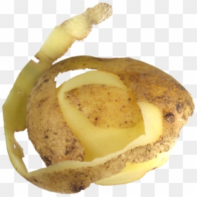 Potato - Potato Peel No Background, HD Png Download - potato plant png