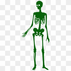 Silueta Esqueleto, HD Png Download - skeleton silhouette png