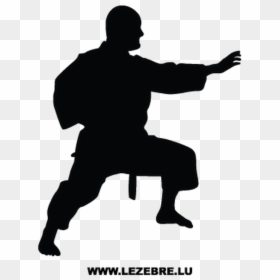 Silhouette Of Gif Of Baby, HD Png Download - martial arts silhouette png