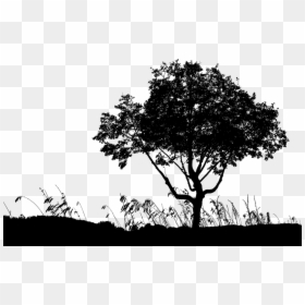 Landscape, HD Png Download - landscape silhouette png