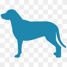 Greater Swiss Mountain Dog Silhouette - Ancient Dog Breeds, HD Png Download - corgi silhouette png