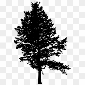 Pine Tree Silhouette Illustration, HD Png Download - christmas silhouette png