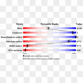 Campylobacter Diagrams, HD Png Download - tj perkins png