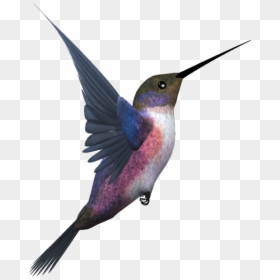 Flying Bird Png, Transparent Png - feather .png