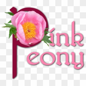 Common Peony, HD Png Download - pink peony png