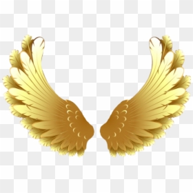 #goldwings #wings #golden #goldenwings #pretty #soft - Gold Wings Transparent Background, HD Png Download - golden wings png